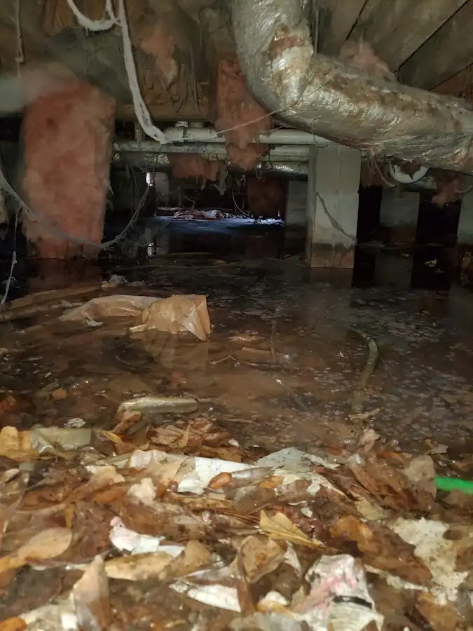 Crawl space flood assessment for Commercial Water Damage Restoration in Waterloo